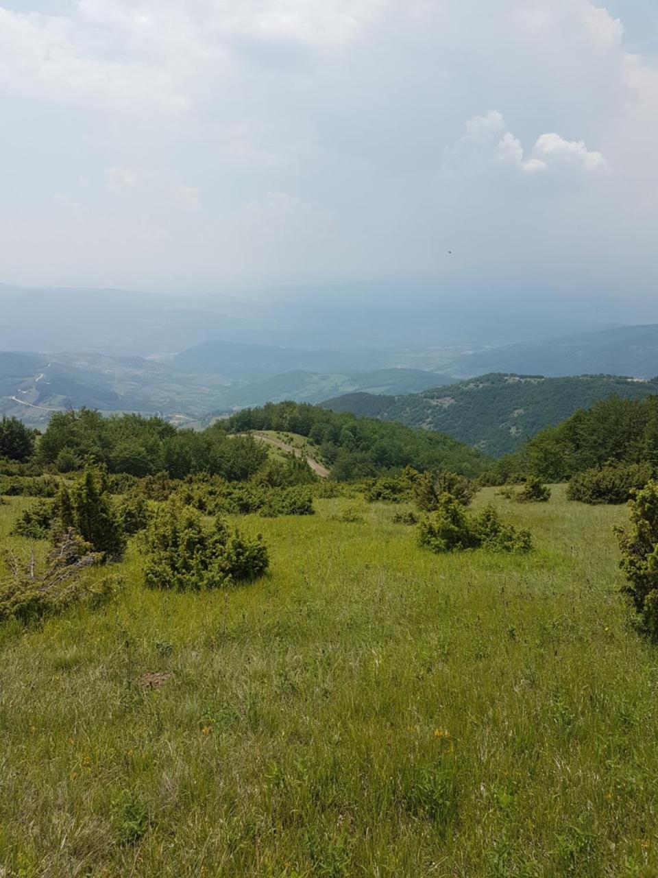 Milmari M18 Kopaonik Apartment Luaran gambar